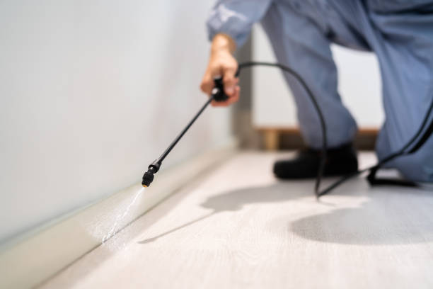 Licensed Pest Control service in Knox County County, OH - Nex Pest Control