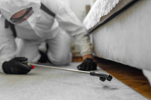 Professional Pest Control technician working in Knox County County, OH